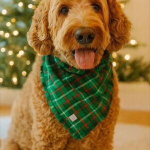 Lands' End Holiday Flannel Dog Scarf